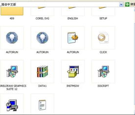 計算機軟件 現代數字世界的核心引擎