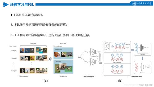 人工智能中的對比學習 算法原理與應用探索